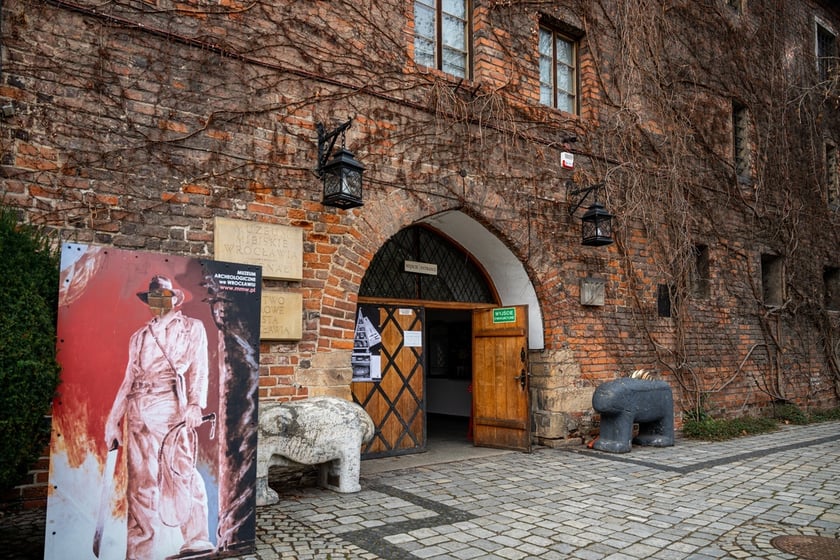 Wystawa Artificalia, naturalia, exotica w Muzeum Archeologicznym we Wrocławiu
